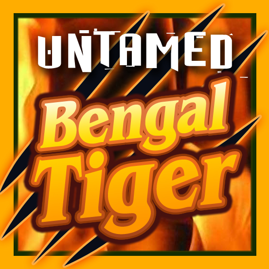 Untamed Bengal Tiger