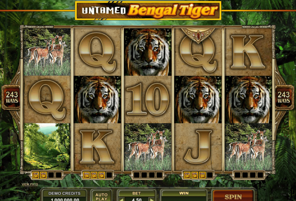 Explore the Wild with Tusks: Spin for Big Wins on Safari!